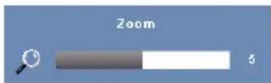 Zoom 6