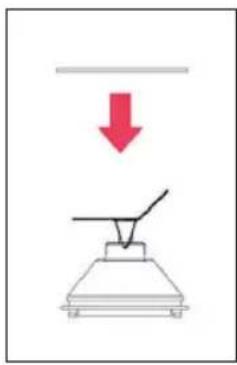 WILFA Crush BL-1200V2 - How to assemble the appliance - 1