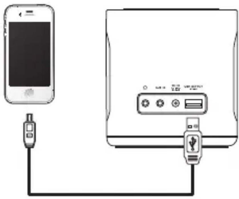 Sandstrøm Juice SJUTWH15E - Lataaminen USB OUTPUT latausportti - 1