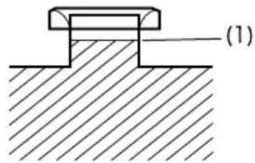 (1)