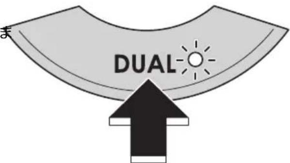 DUAL
