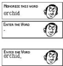 MEMORIZE THIS WORD orchid ENTER THE WORD - ENTER THE WORD orchid.