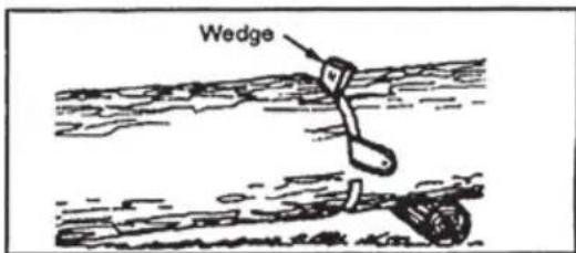 Wedge