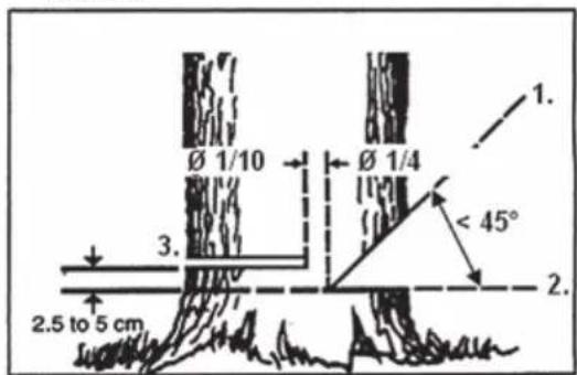 Ø 1/10 Ø 1/4 3. 2.5 to 5 cm 1. < 45° 2.
