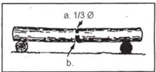 a. 1/3 Ø b.