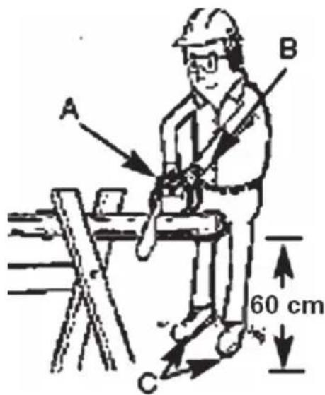 A B 60 cm C
