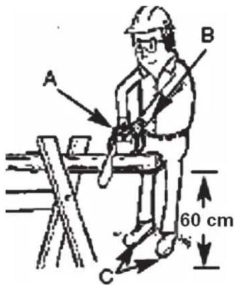A B 60 cm C