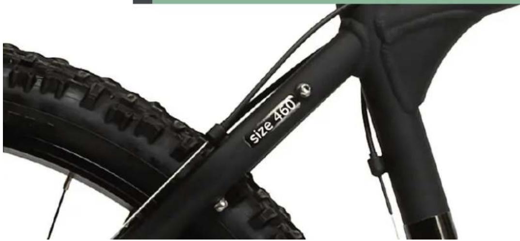 Mustang Augusta 7 - 1