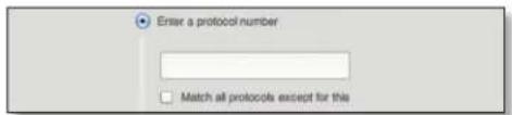 Enter a protocol number Match all protocols except for this