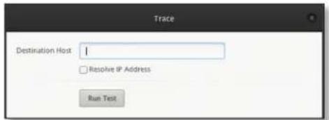 Trace Destination Host: Resolve IP Address Run Test
