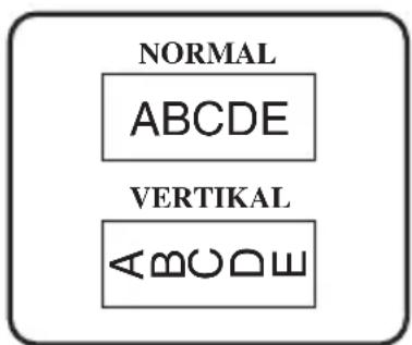 NORMAL ABCDE VERTIKAL