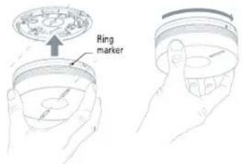 Ring marker