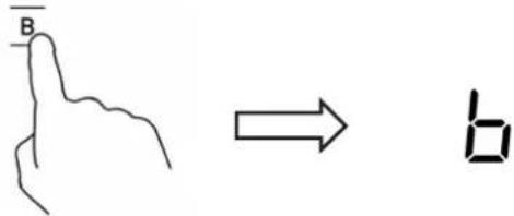 B → b