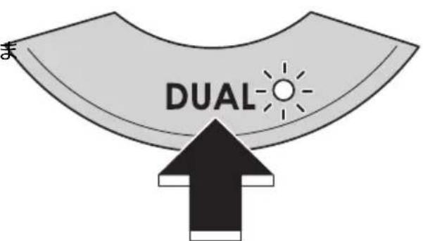 DUAL