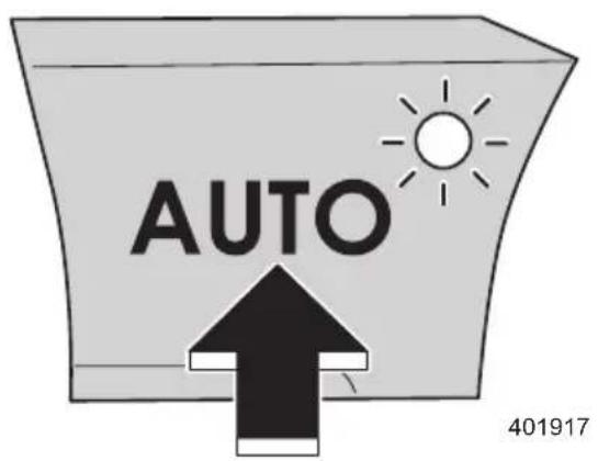 AUTO 401917