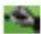 HTC P3600 - Icon Input method - 3
