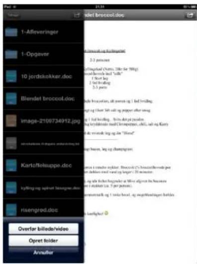 EasyIQ App (iOS) - Brug Linkssamling med Single sign-on - 3