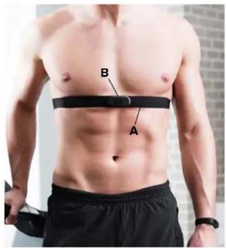 iFit Vue - Sådan sætter du pulsmåleren på - 1