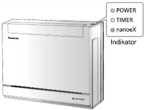 POWER TIMER nanoeX Indikator