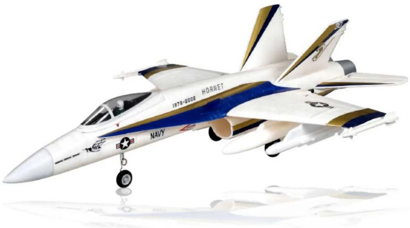 FMS F18 Vigilantes - OPERATING MANUAL - 1