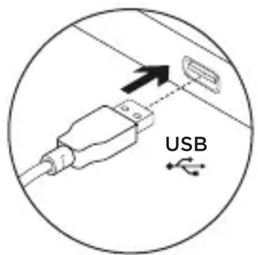 USB