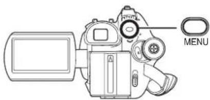 PANASONIC VDR-D310E - Optagelse med lukkereffekt - 1