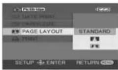 PANASONIC VDR-D300E - Vælg layoutindstilling ved [PAGE LAYOUT]. - 3