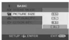 PANASONIC VDR-D300E - PICTURE SIZE - 1