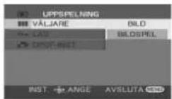 PANASONIC VDR-D300E - Spela upp stillbilder som ett bildspel - 1