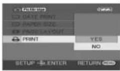 PANASONIC VDR-D300E - Vælg layoutindstilling ved [PAGE LAYOUT]. - 4