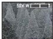 PANASONIC NV-GS60E - Digitalzoomfunktion - 1