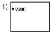 PANASONIC NV-GS60E - Optagelse i naturlige farver (Hvidbalance) - 4