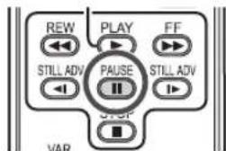 REW STILL ADV PLAY STOP FF STILL ADV PAUSE VAR