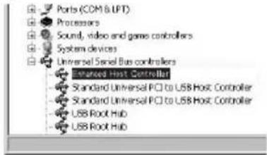 PANASONIC NV-GS500E - Después de terminar la configuración, haga clic en [Finish]. - 1