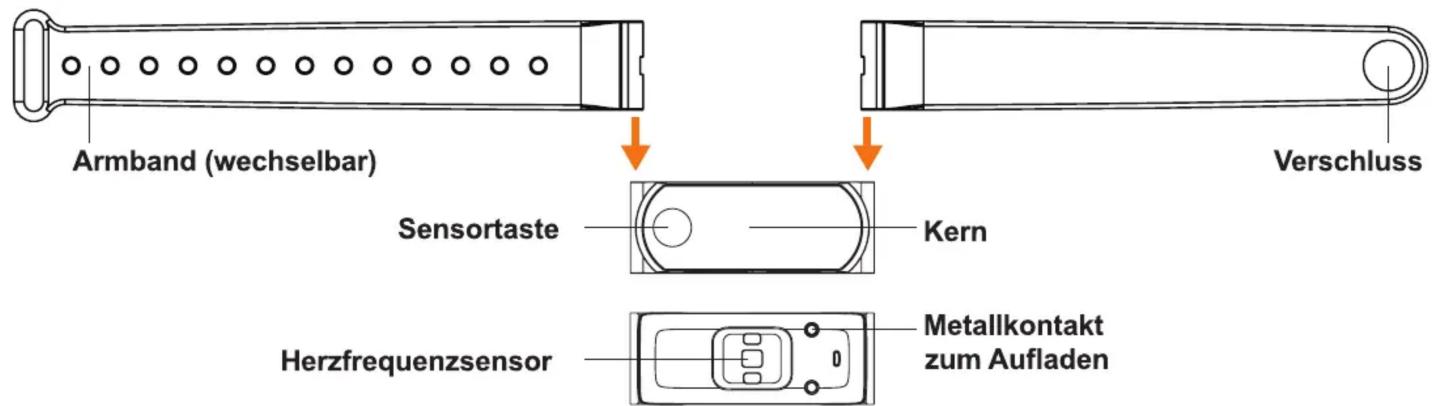 Armband (wechselbar) Sensortaste Kern Verschluss Herzfrequenzsensor Metallkontakt zum Aufladen