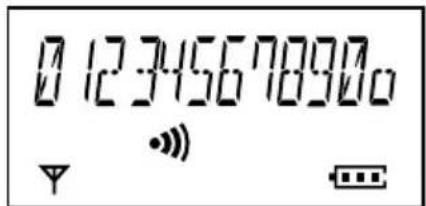 0 12345678900 ••• ▼ ●●●