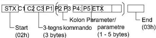 PANASONIC TH-65PB1EK - Basisformat for kontroldata - 1