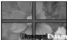 PANASONIC TH-65PB1EK - Sådan opsættes multi-skærmdisplay - 1
