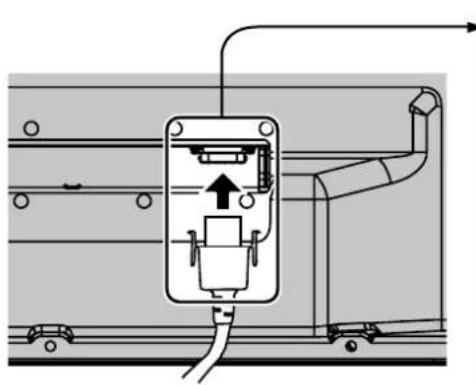 PANASONIC TH-65PB1EK - Netledningstilslutning og fastgørelse, kabel-fastgørelse - 1