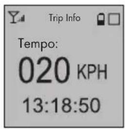 Trip Info Tempo: 020 KPH 13:18:50