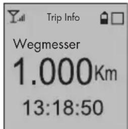Trip Info Wegmesser 1.000Km 13:18:50