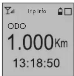 Trip Info ODO 1.000Km 13:18:50