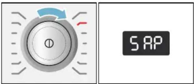 S AP