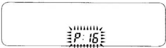 P: 16