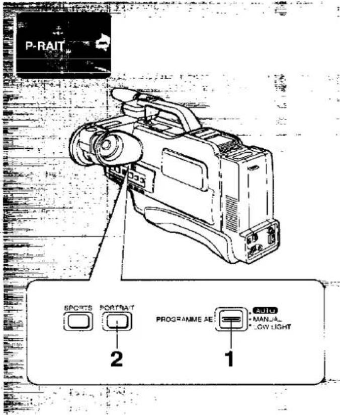 PANASONIC NV-M50 - How to make Your Subject Stand out Sharply from the Background - 1