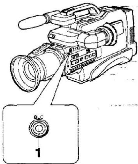 PANASONIC NV-M50 - How to Film Backlit Scenes - 2