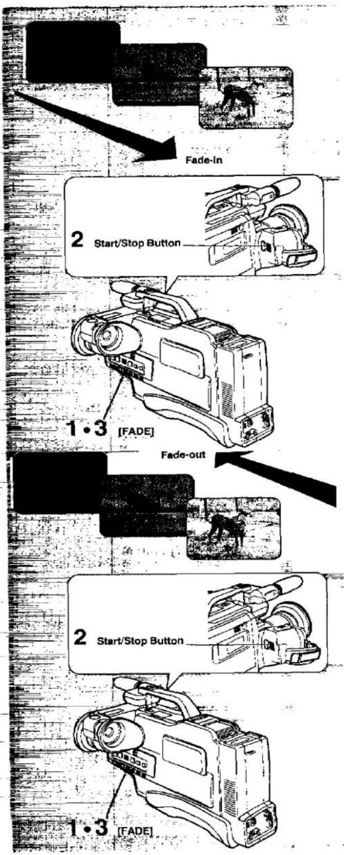 PANASONIC NV-M50 - Notes: - 1