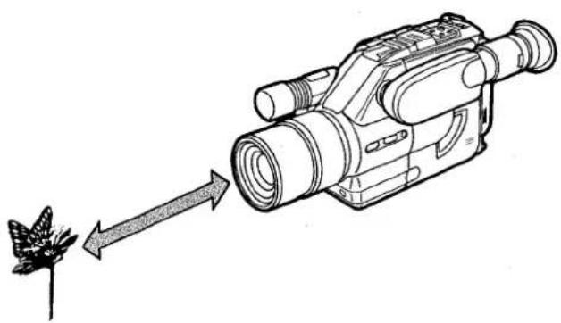 PANASONIC NV-G2E - Macrocinématographie - 1