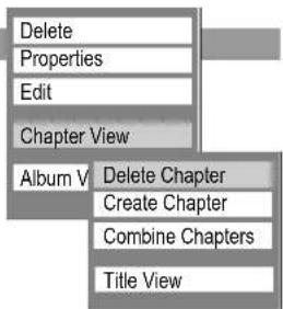 Delete Properties Edit Chapter View Album V Delete Chapter Create Chapter Combine Chapters Title View