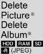PANASONIC DMR-EH695 - Album (still picture) and picture operation - 1